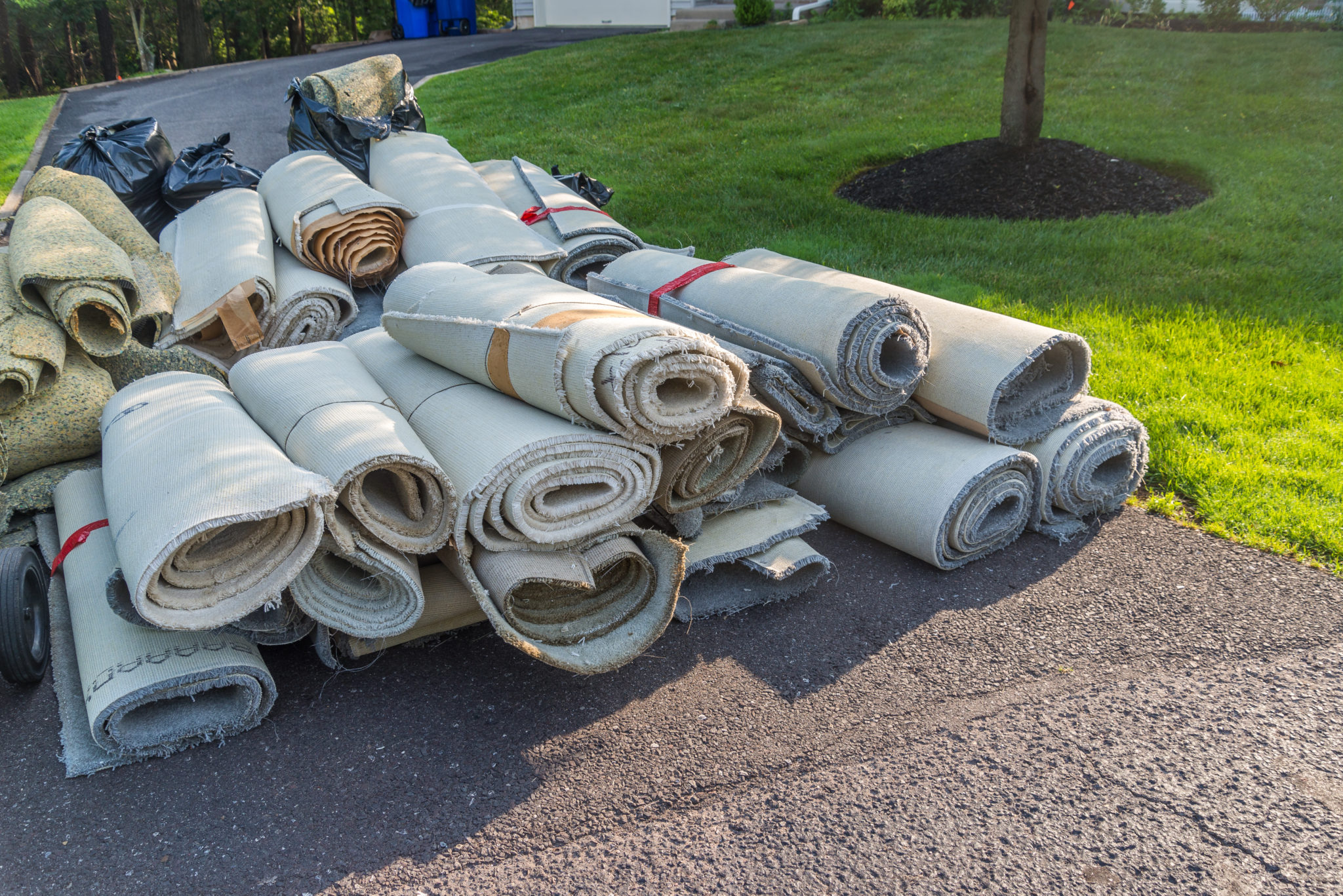 Carpet Removal Service In Seattle