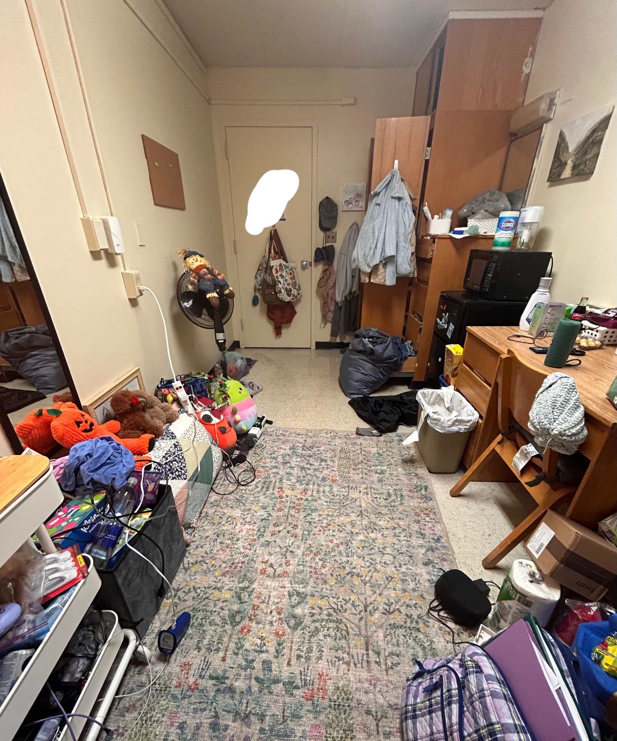 Dorm Room Cleanout Service In Seattle
