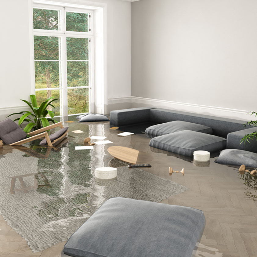 Flood Damage Cleanout Service In Seattle