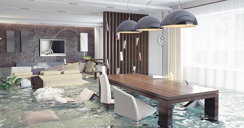 Flood Damage Cleanout Service In Seattle