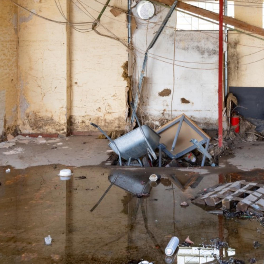 Junk Removal Cleanout Service in Seattle