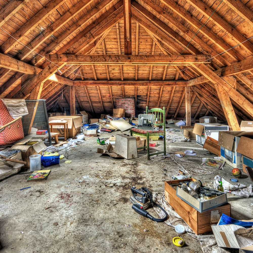 Junk Removal Cleanout Service in Seattle