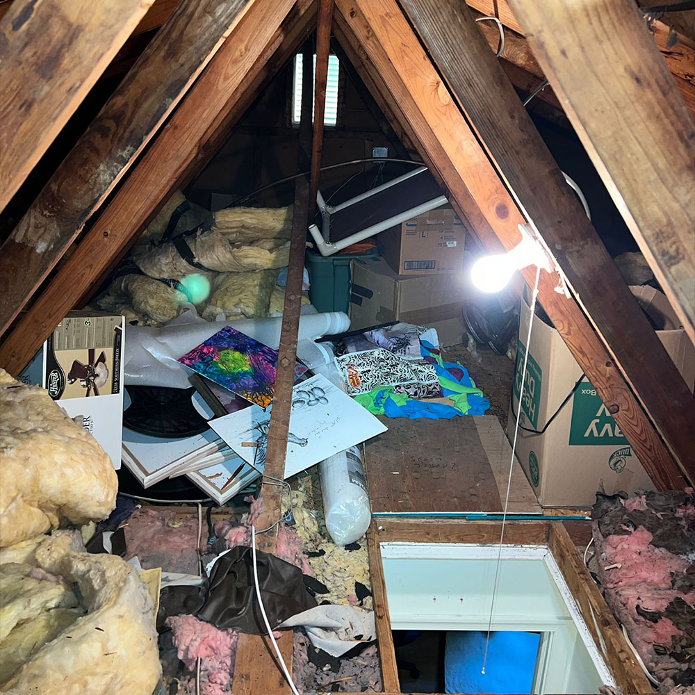 Attic Cleanout Service In Seattle
