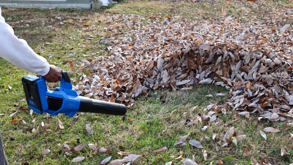 Yard Waste Pickup and Disposal Service In Seattle