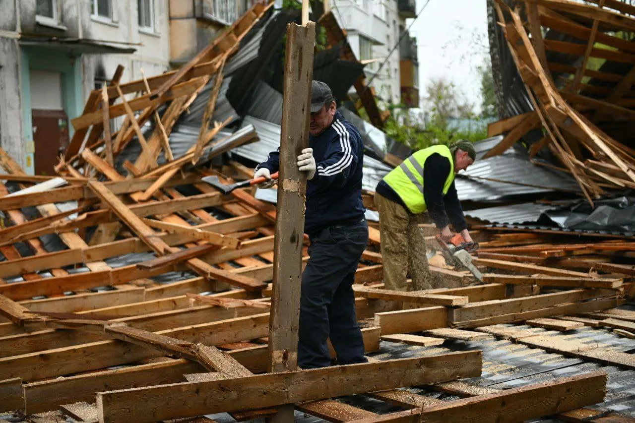 Shed Demolition Service In Seattle