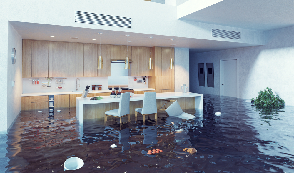 Flood Damage Cleanout Service In Seattle